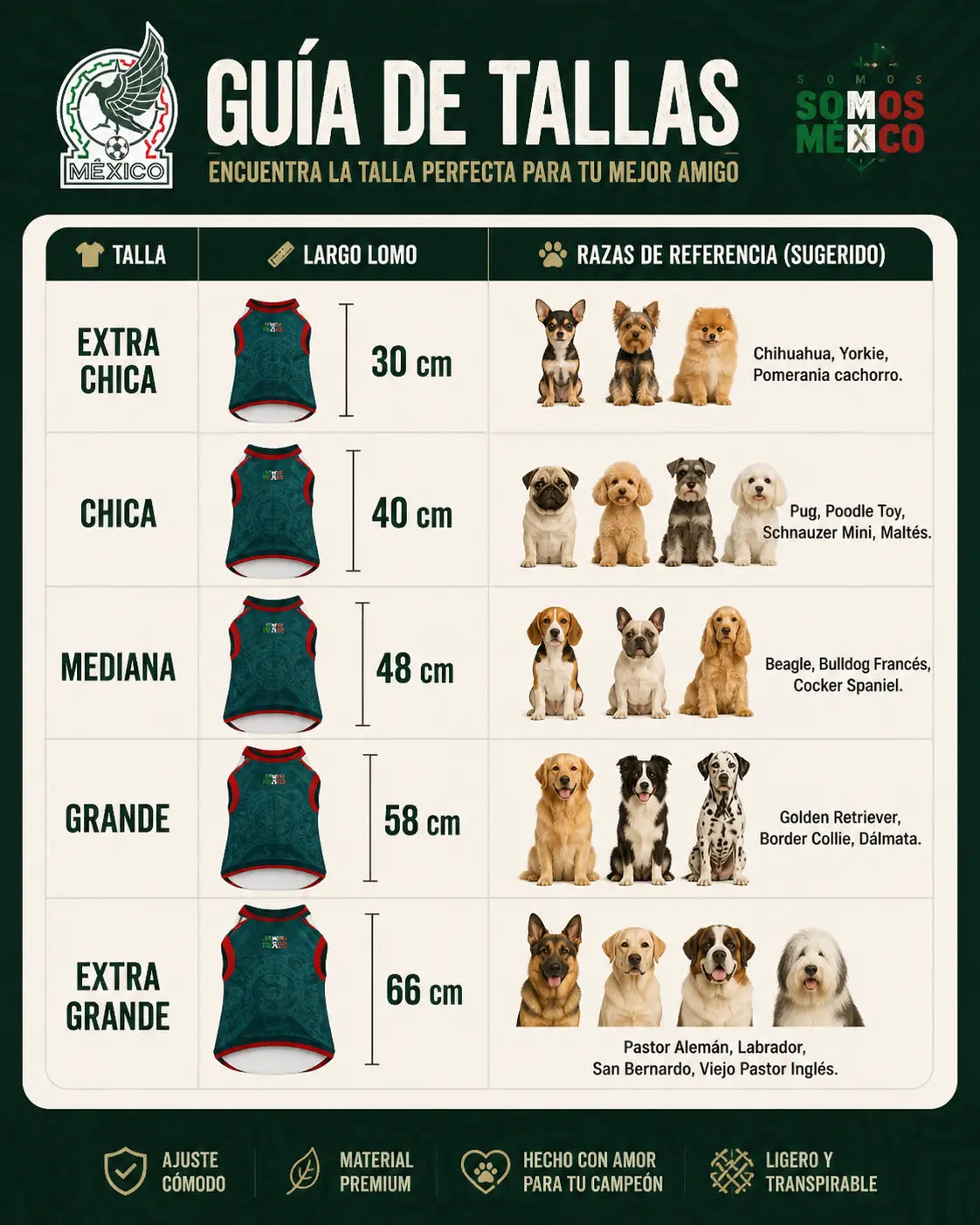 Camisa Jersey México Para Perro Edición Mundial